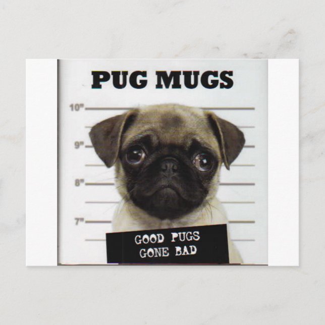 Postal Pugs (Anverso)
