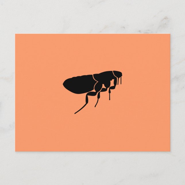 Postal Pulga (Anverso)