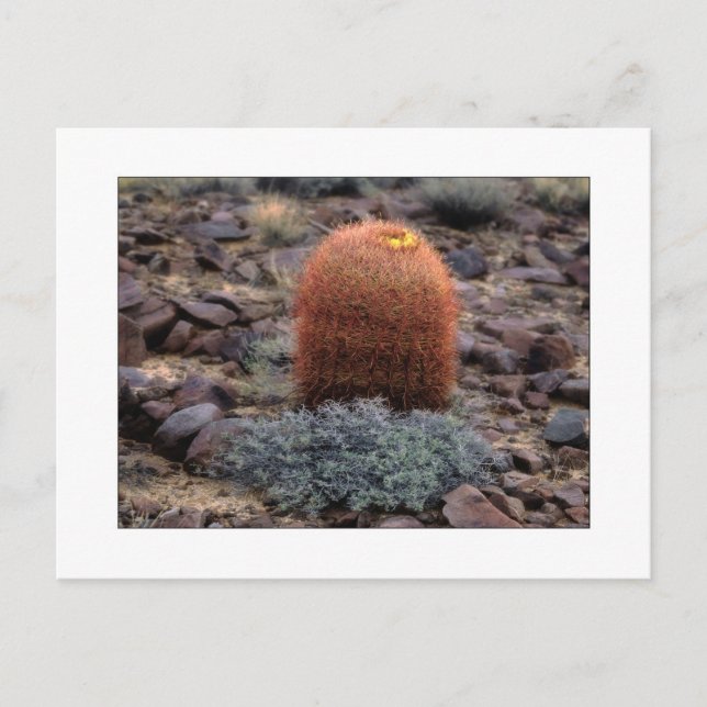 Postal "Pulgares para arriba " (Anverso)