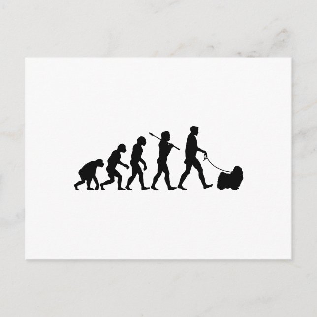 Postal Puli (Anverso)