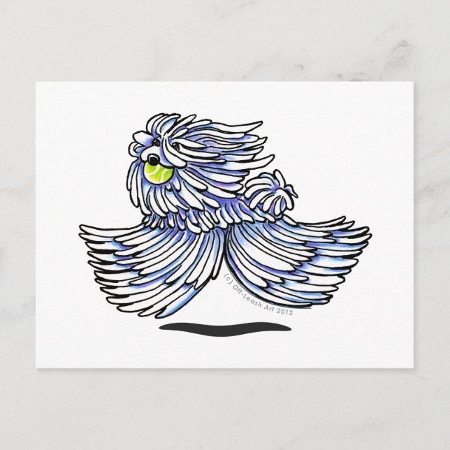 Postal Puli Komondor juguetón (Anverso)