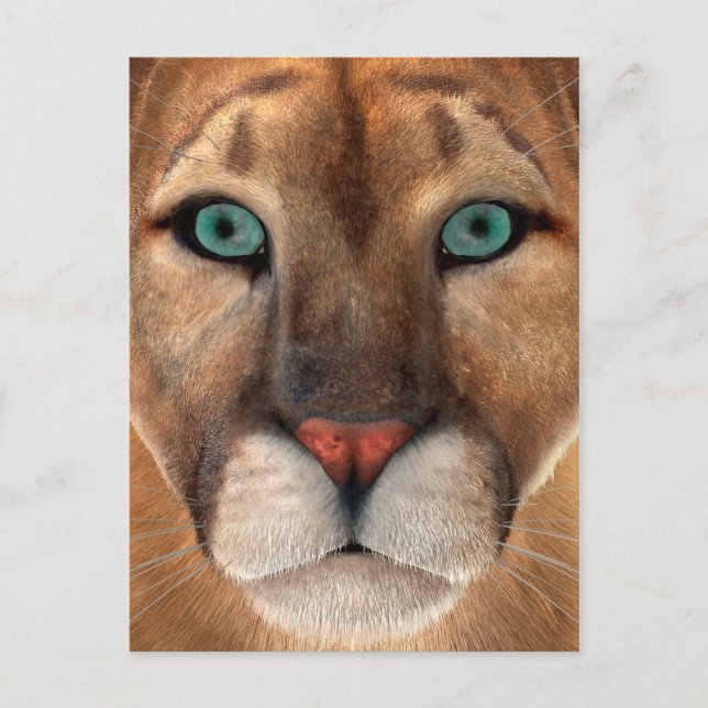 Postal Puma (Anverso)
