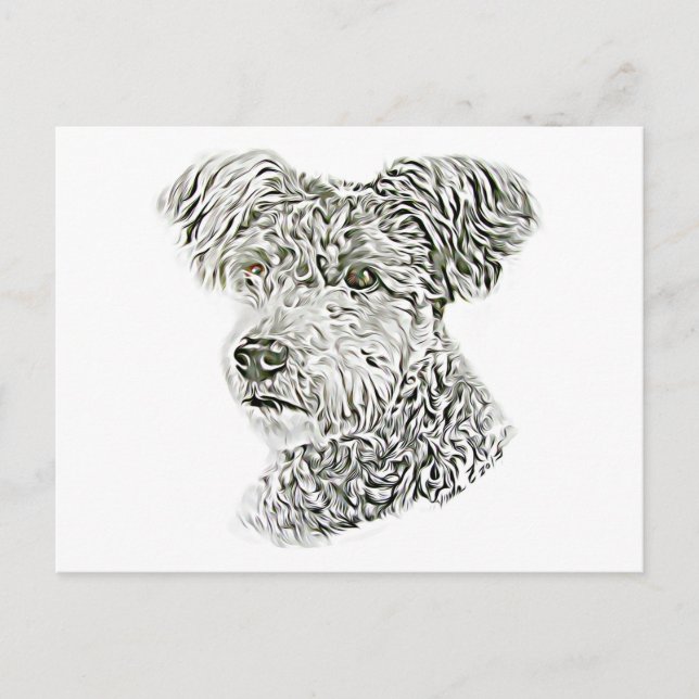 Postal Pumi (Anverso)