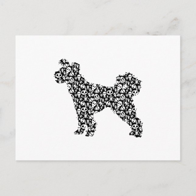 Postal Pumi (Anverso)