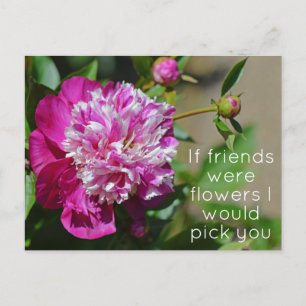 Postal Pun de flores de peonía rosada de algodón