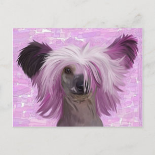 Postal Punky2