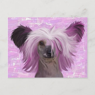 Postal Punky2