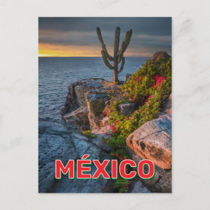 Postal Punta Lobos, Baja California, México
