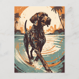 Postal Puntero al aire libre en la playa al atardecer