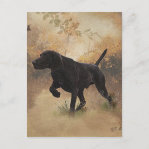 Postal Puntero alemán de corto alcance listo para cazar c