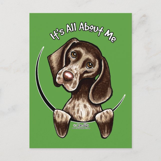 Postal Puntero IAAM (Anverso)