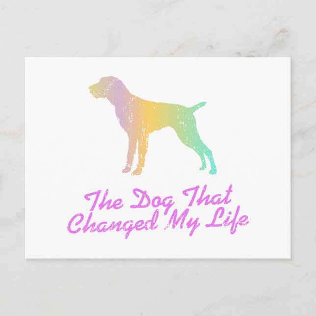 Postal Puntero inalámbrico alemán (Anverso)