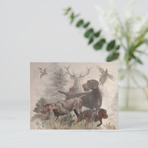 Postal Puntero inalámbrico alemán