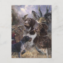 Puntero inalámbrico alemán