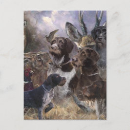 Postal Puntero inalámbrico alemán