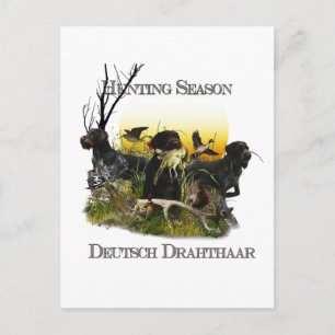 Postal Puntero inalámbrico alemán