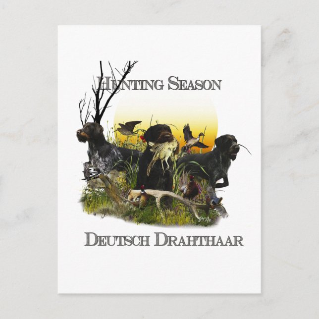 Postal Puntero inalámbrico alemán (Anverso)