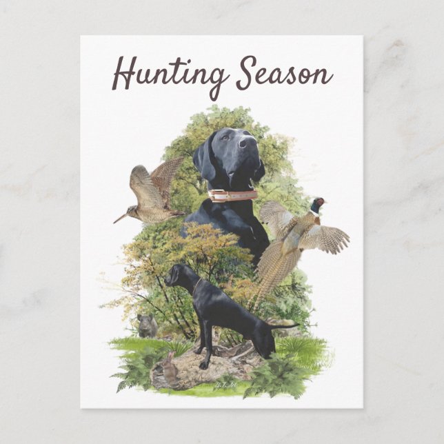 Postal Punteros alemanes de pelo corto (GSP)       (Anverso)