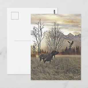 Postal Punteros de corto alcance alemanes