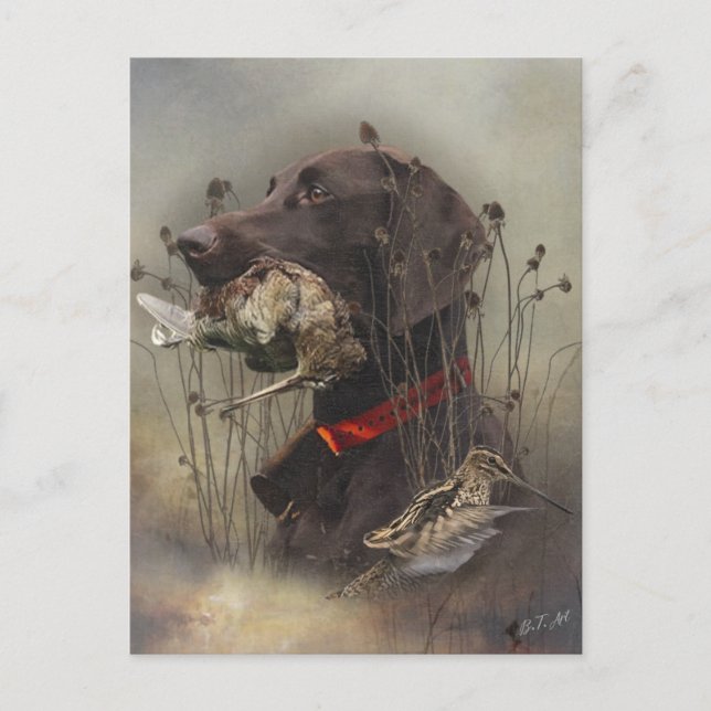 Postal Punteros de corto alcance alemanes (Anverso)