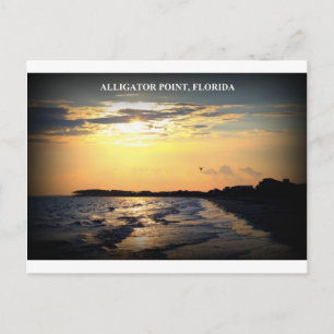POSTAL PUNTO ALLIGADOR, FLORIDA