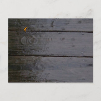 Postal "Punto de color"