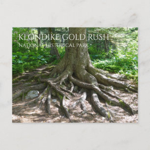 Postal Punto de Finnegan, Sendero Chilkoot, Fiebre del Or