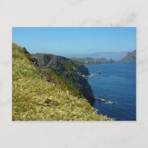 Postal Punto de Inspiración de Anacapa II en las Islas de