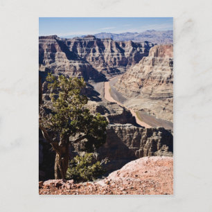 Postal Punto del guano - postcardcopy