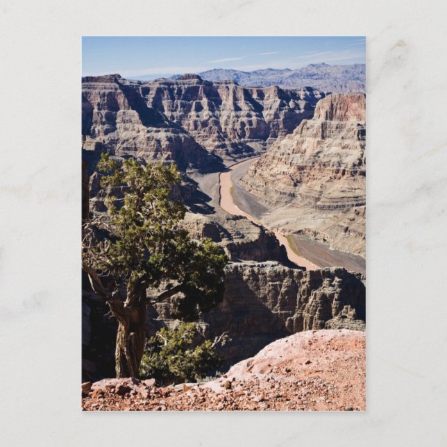 Postal Punto del guano - postcardcopy (Anverso)