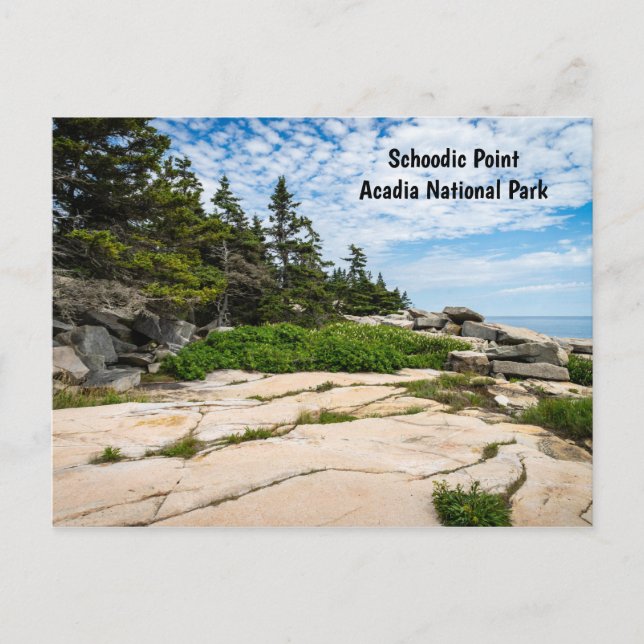 Postal Punto escolar en el Parque Nacional de Acadia en M (Anverso)