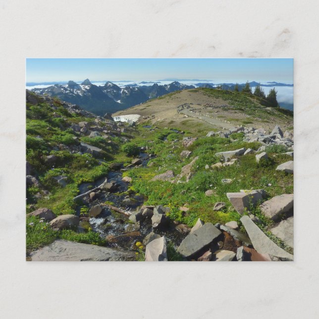 Postal Punto panorámico del Monte Rainier (Anverso)