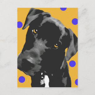 Postal Punto Polka