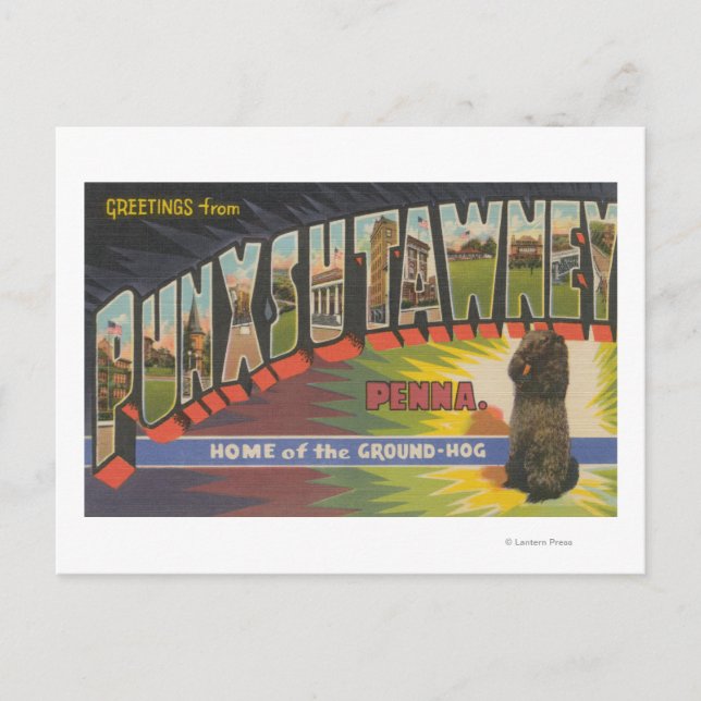 Postal Punxsutawney, Pennsylvania (Groundhog) (Anverso)