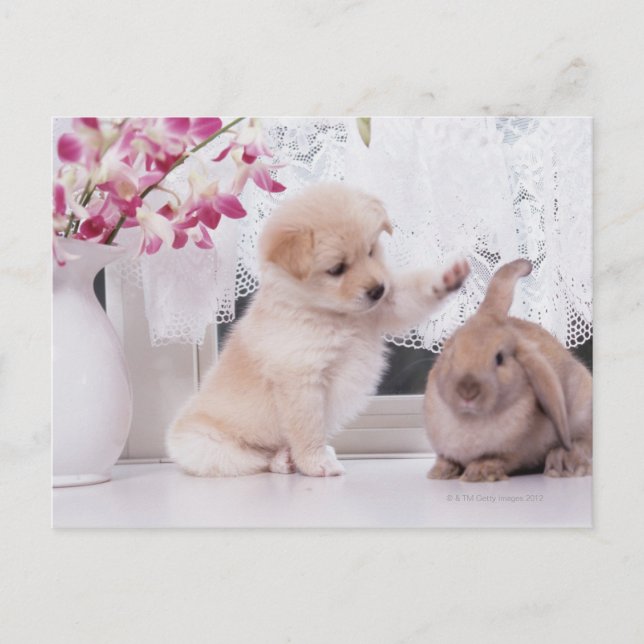 Postal Puppy and Lop Ear Rabbit (Anverso)