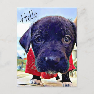 Postal Puppy Hello