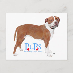 Postal PUPs Rescató Pit Bull