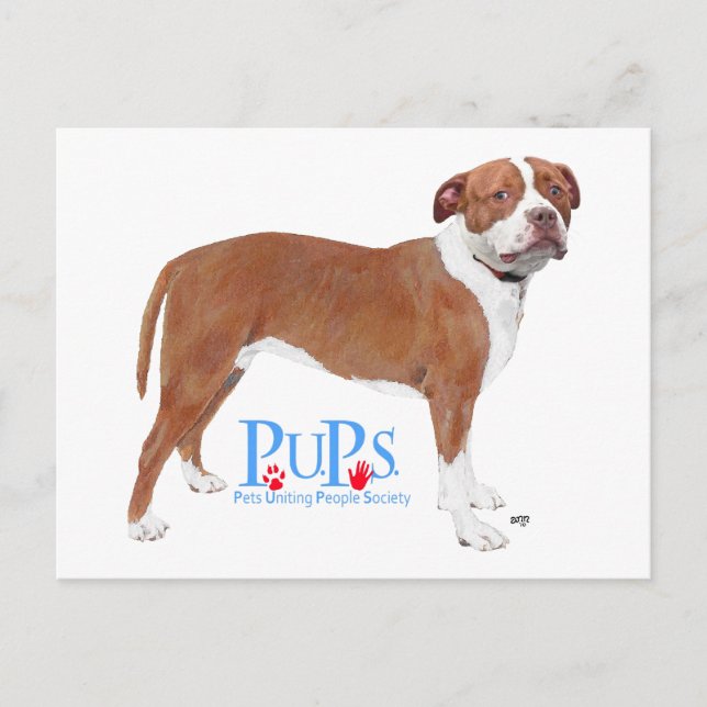 Postal PUPs Rescató Pit Bull (Anverso)