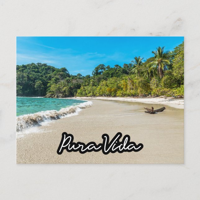 Postal Pura Vida Costa Rica Beach Souvenir Postcard (Anverso)