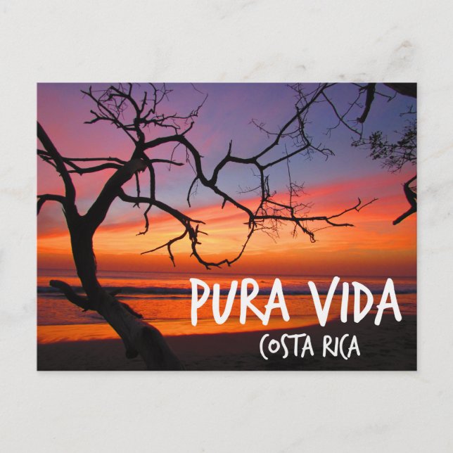 Postal Pura Vida Costa Rica Beach Sunset (Anverso)
