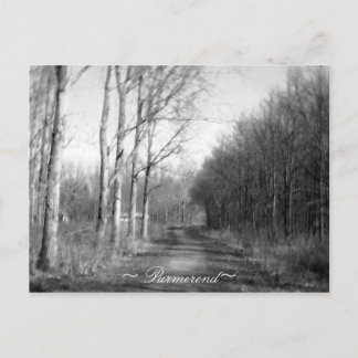 Postal Purmerend Netherlands Postcard