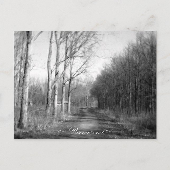 Postal Purmerend Netherlands Postcard (Anverso)