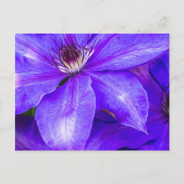 Postal Purple Clematis (Anverso)