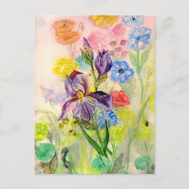 Postal 'Purple Iris' (Anverso)