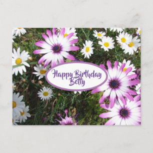 Postal Purple White Daisy Flower Garden Feliz cumpleaños