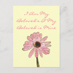 Postal purpleconefloweramed3