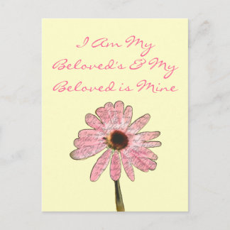 Postal purpleconefloweramed3