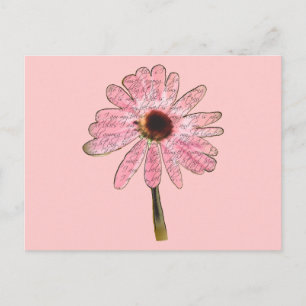 Postal purpleconefloweramed3