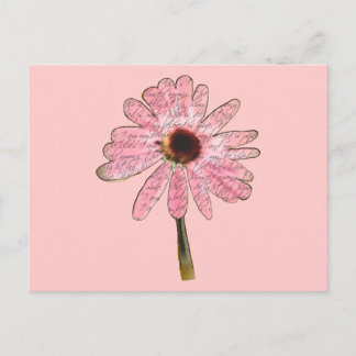 Postal purpleconefloweramed3