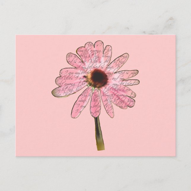 Postal purpleconefloweramed3 (Anverso)